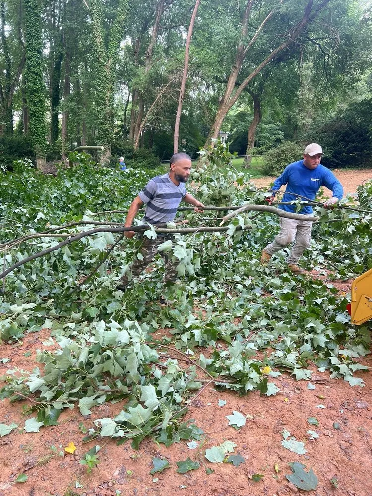 Local lawn mowing service in Stafford, VA - Aribelen Tree Services