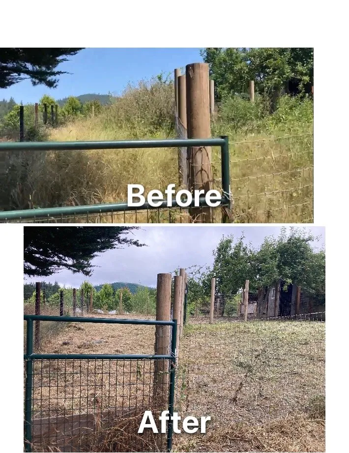 Expert yard cleanup service near you across Fortuna, CA - Ariel Landscaping & Garden services