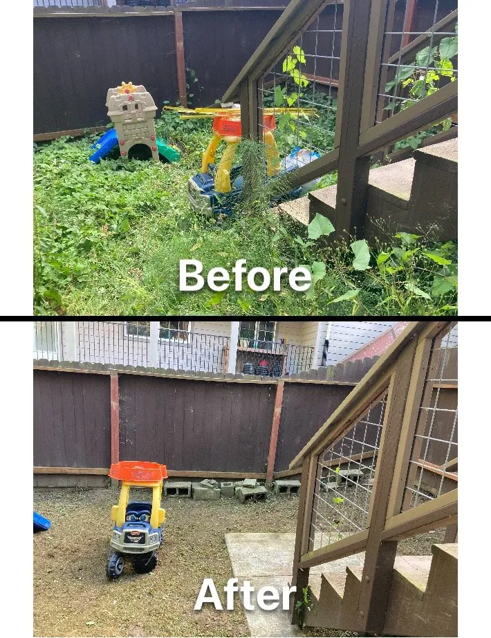 Top-rated landscape installation in Fortuna, CA - Ariel Landscaping & Garden services