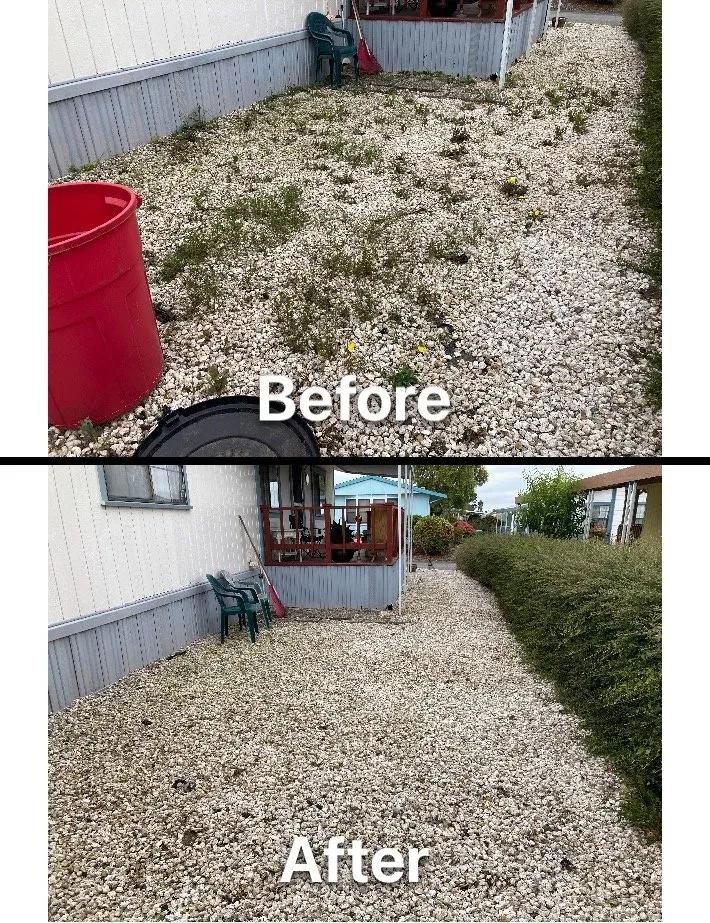 Trusted landscaping services experts serving Fortuna, CA - Ariel Landscaping & Garden services