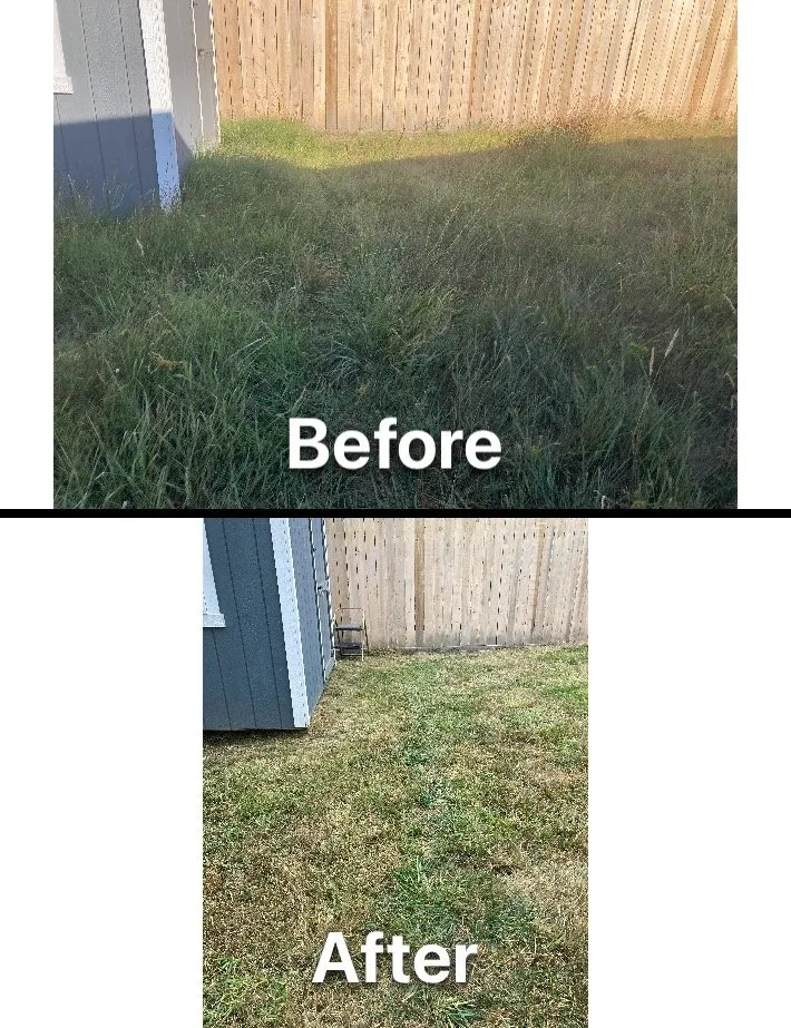 Affordable landscape design near you across Fortuna, CA - Ariel Landscaping & Garden services