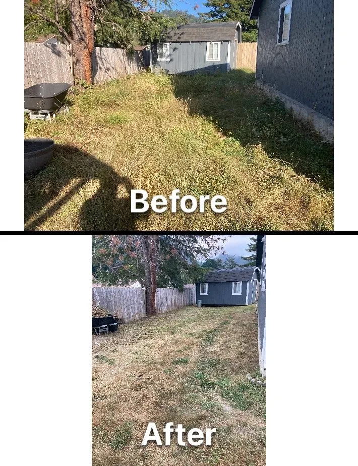 Trusted landscape installation in Fortuna, CA by Ariel Landscaping & Garden services