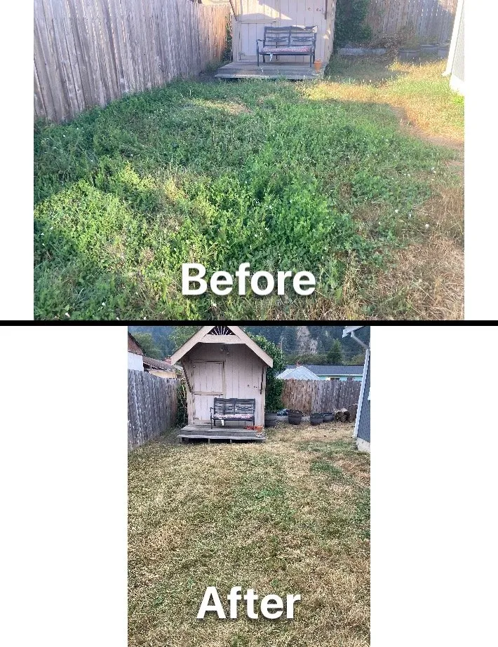 Reliable landscape design in Fortuna, CA by Ariel Landscaping & Garden services