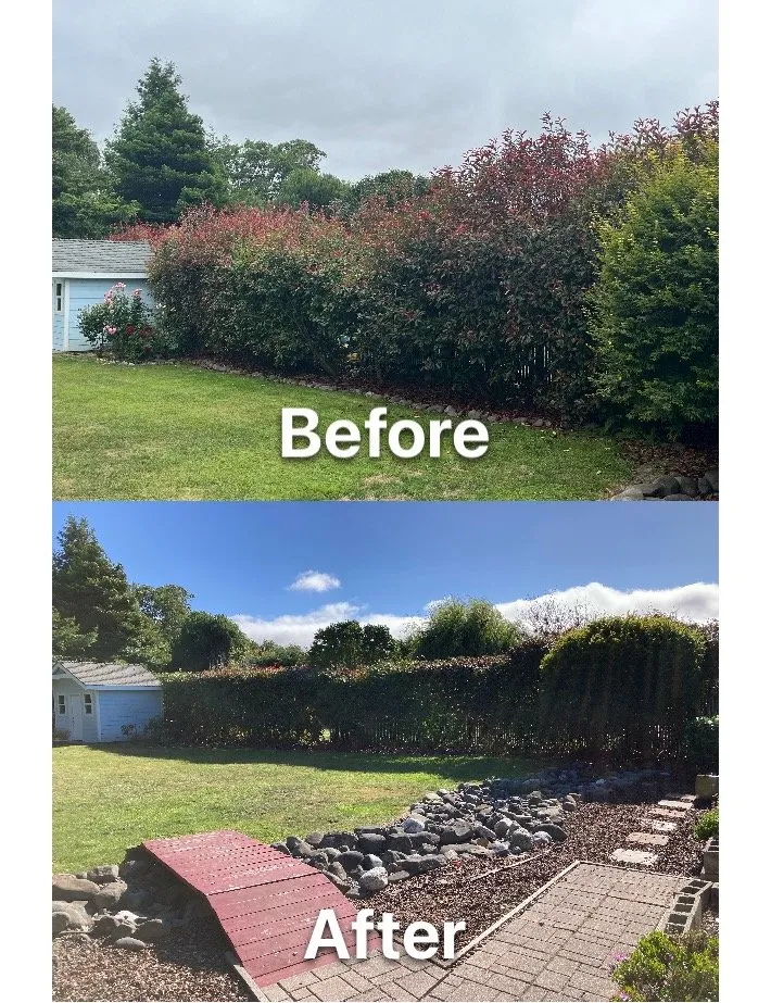 Reliable landscape design for homes across Fortuna, CA - Ariel Landscaping & Garden services