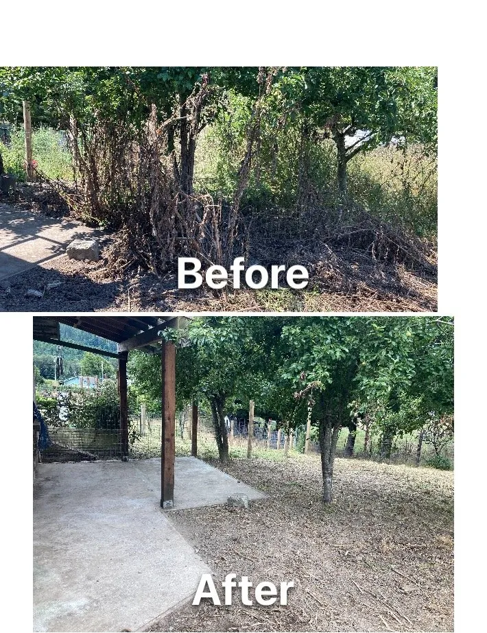 Reliable landscaping services in Fortuna, CA by Ariel Landscaping & Garden services