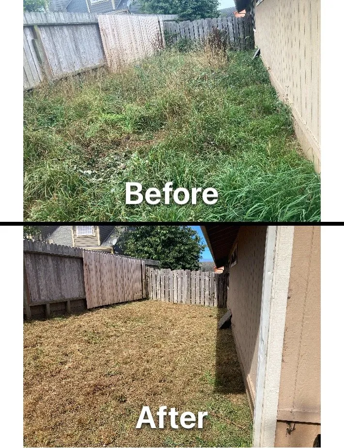 Expert outdoor landscaping in Fortuna, CA by Ariel Landscaping & Garden services