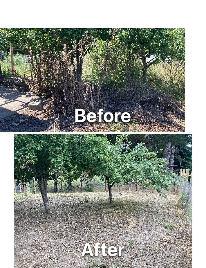 Custom lawn care service for homes across Fortuna, CA - Ariel Landscaping & Garden services