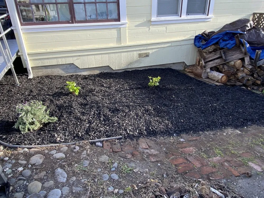 Local landscape design for outdoor upgrades in Fortuna, CA by Ariel Landscaping & Garden services