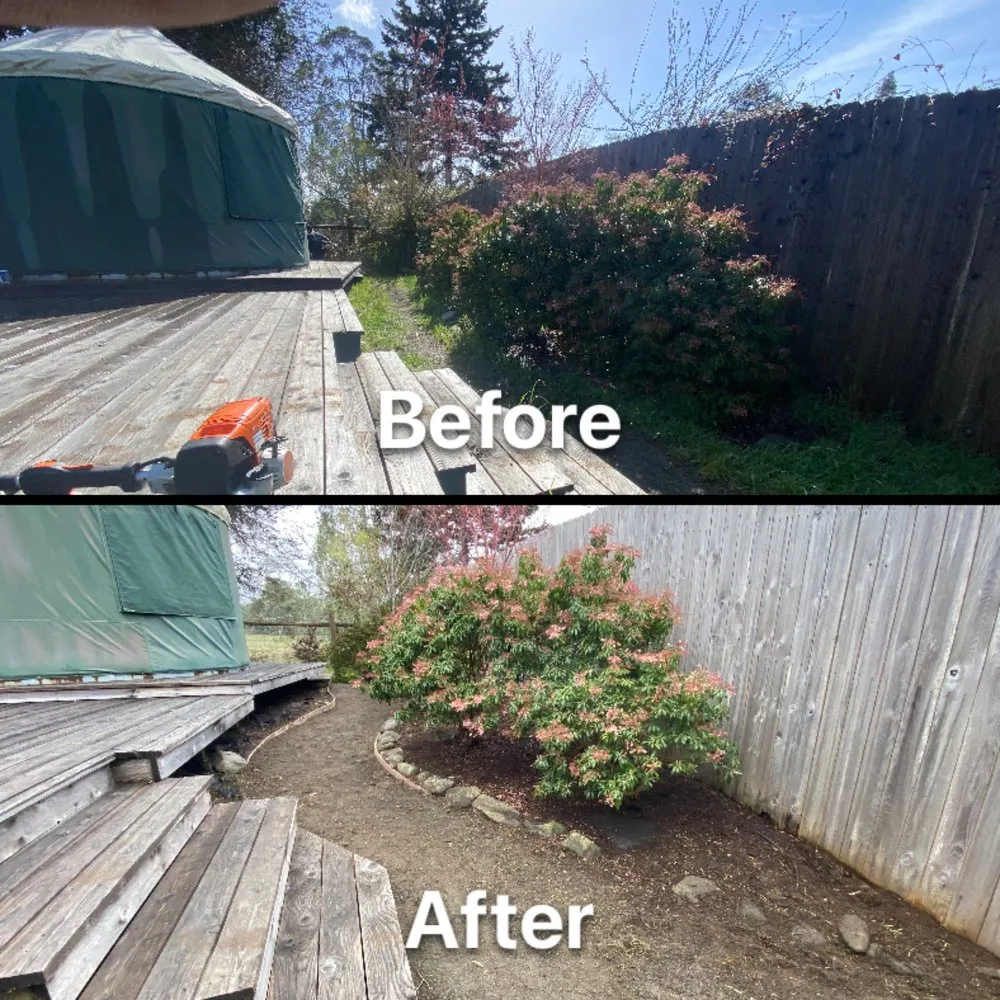 Local garden landscaping for year-round maintenance in Fortuna, CA by Ariel Landscaping & Garden services