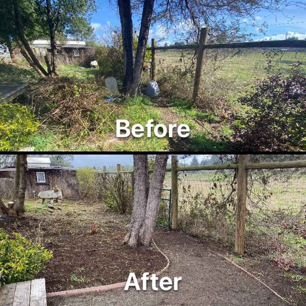 Top-rated yard cleanup service in Fortuna, CA by Ariel Landscaping & Garden services