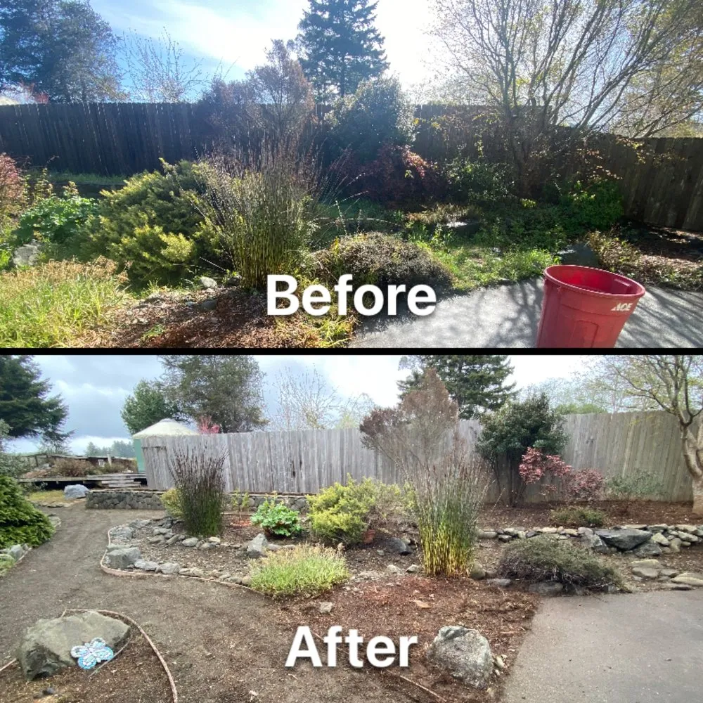 Custom lawn care service for residential properties across Fortuna, CA - Ariel Landscaping & Garden services