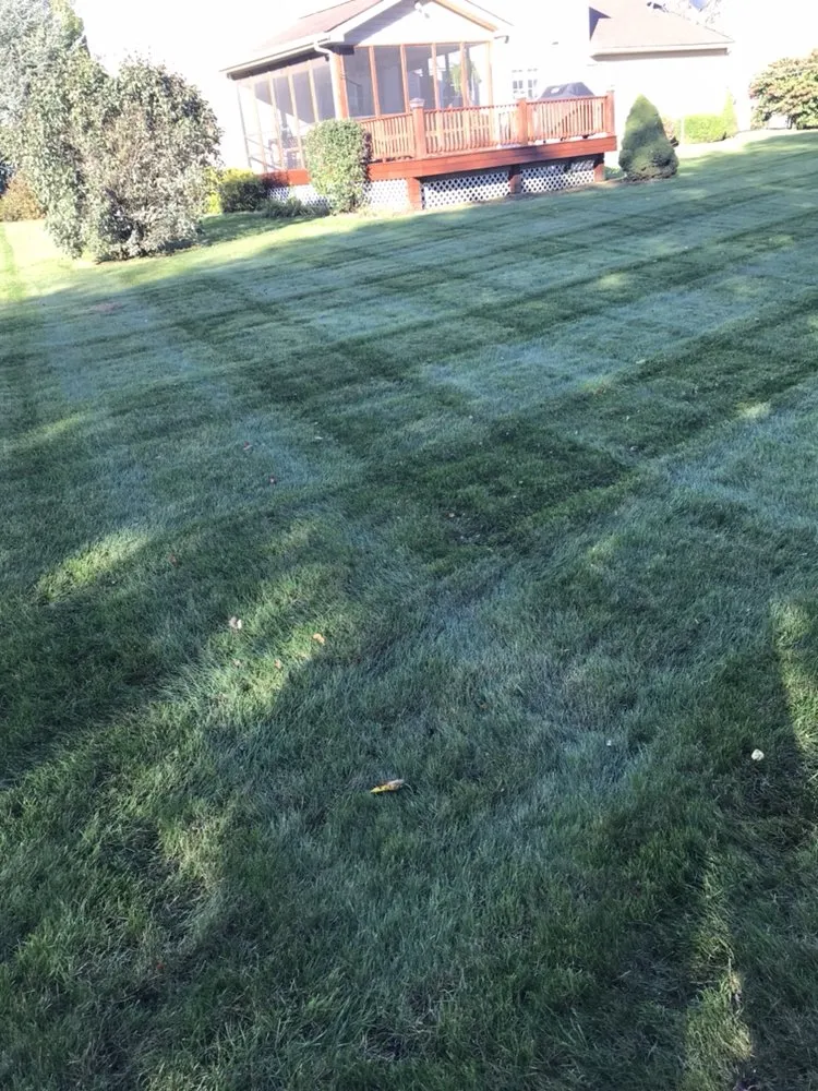 Expert landscape design in Allentown, PA by Ariel Romero Landscaping Services