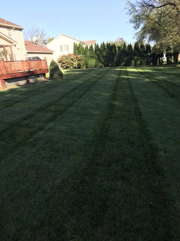 Professional yard cleanup service in Allentown, PA - Ariel Romero Landscaping Services