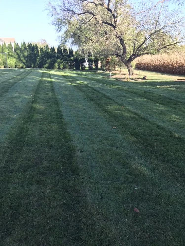 Professional yard maintenance experts serving Allentown, PA - Ariel Romero Landscaping Services