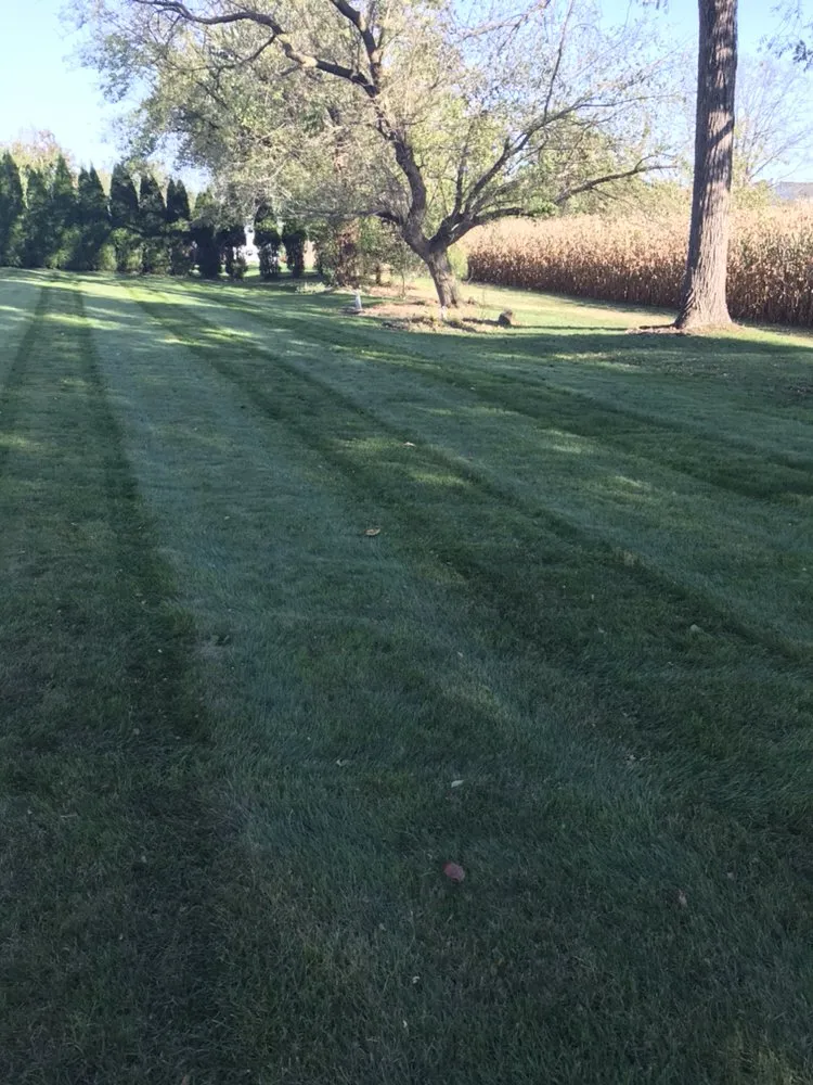 Affordable lawn mowing service with custom design across Allentown, PA - Ariel Romero Landscaping Services
