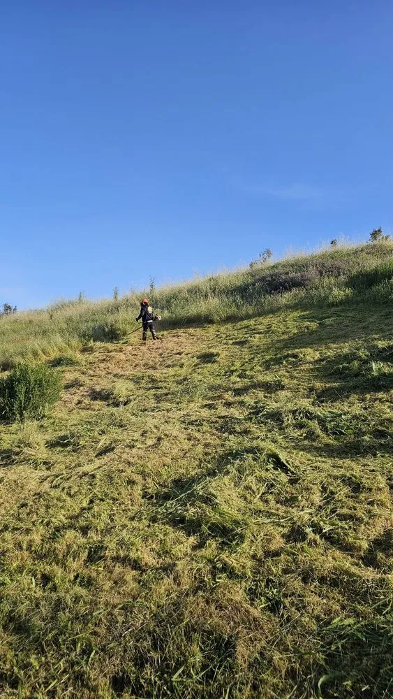 Trusted yard maintenance for year-round maintenance across Windsor, CA - Ariel’s General Jobs