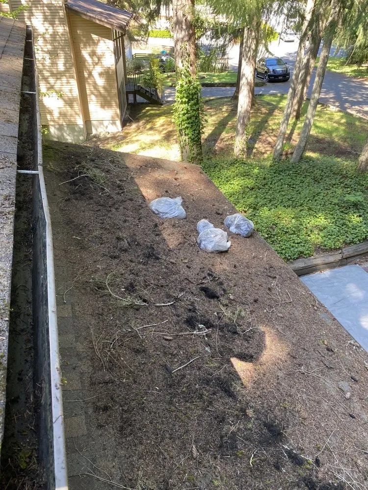 Custom landscape design with custom design in Lacey, WA by ArieN Maintenance