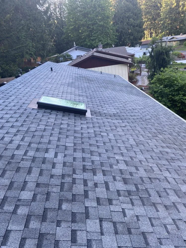 Professional lawn mowing service in Lacey, WA by ArieN Maintenance