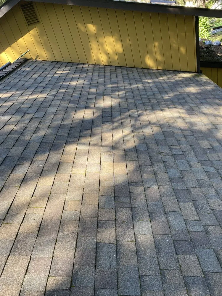 Top-rated lawn care service with custom design across Lacey, WA - ArieN Maintenance