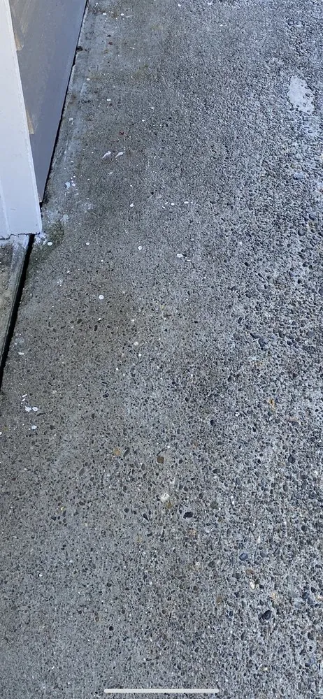 Trusted residential landscaping in Lacey, WA - ArieN Maintenance