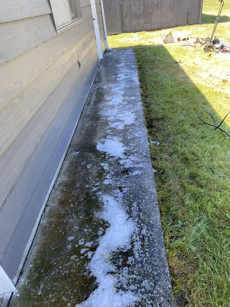 Local yard maintenance for homes across Lacey, WA - ArieN Maintenance