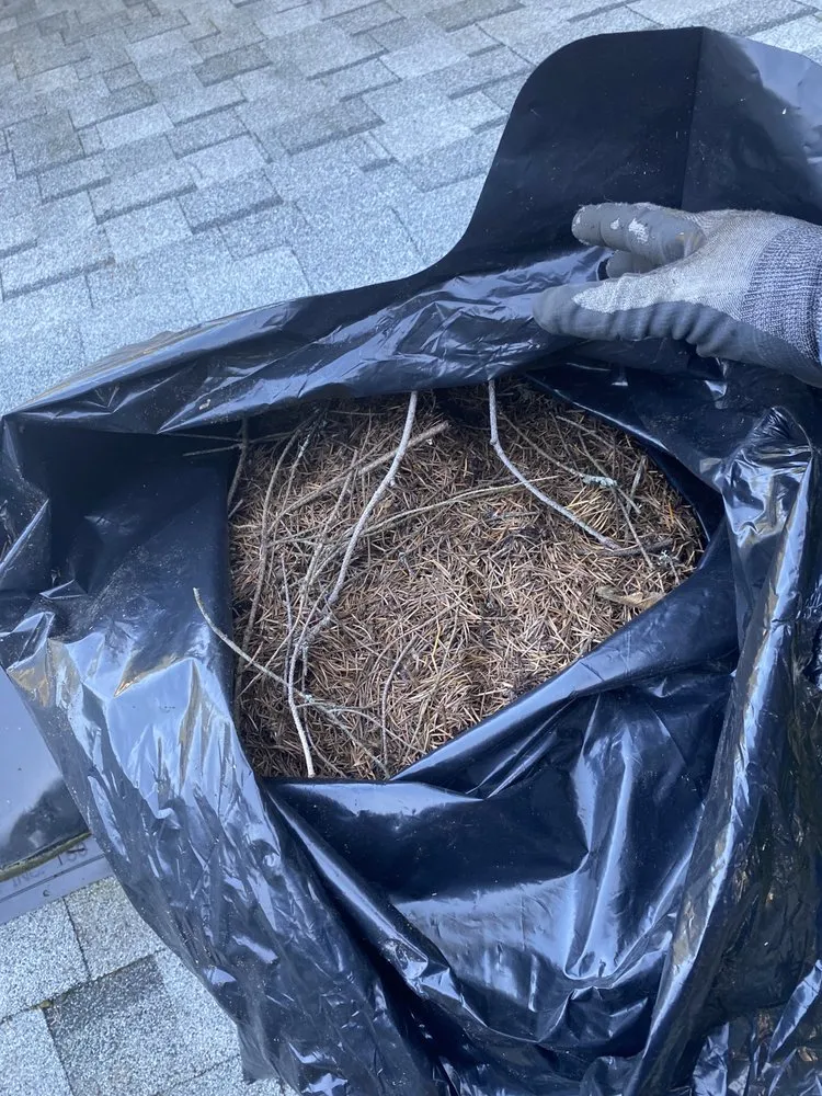 Professional lawn care service with custom design in Lacey, WA by ArieN Maintenance