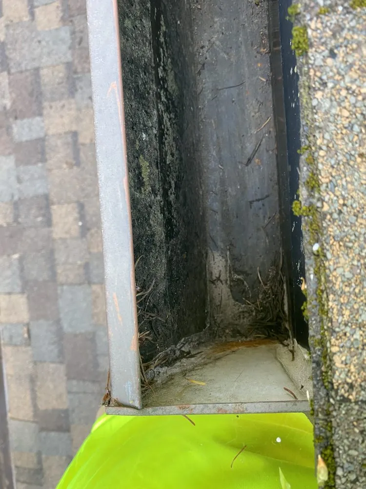 Reliable lawn mowing service for homes in Lacey, WA by ArieN Maintenance