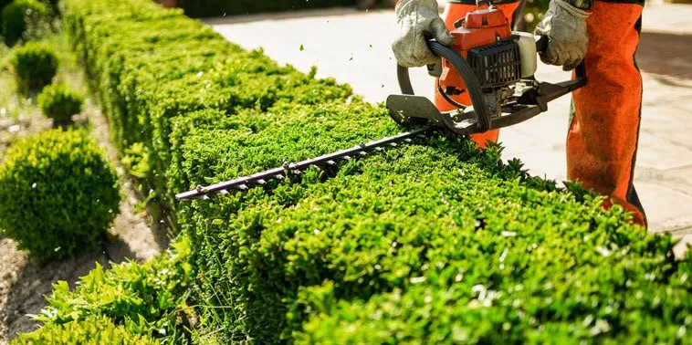 Affordable lawn mowing service for year-round maintenance in Bradenton, FL by Aries Land Services