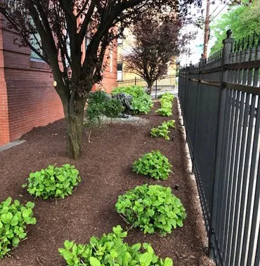 Local landscape design in Verona, PA by Aries Landscaping