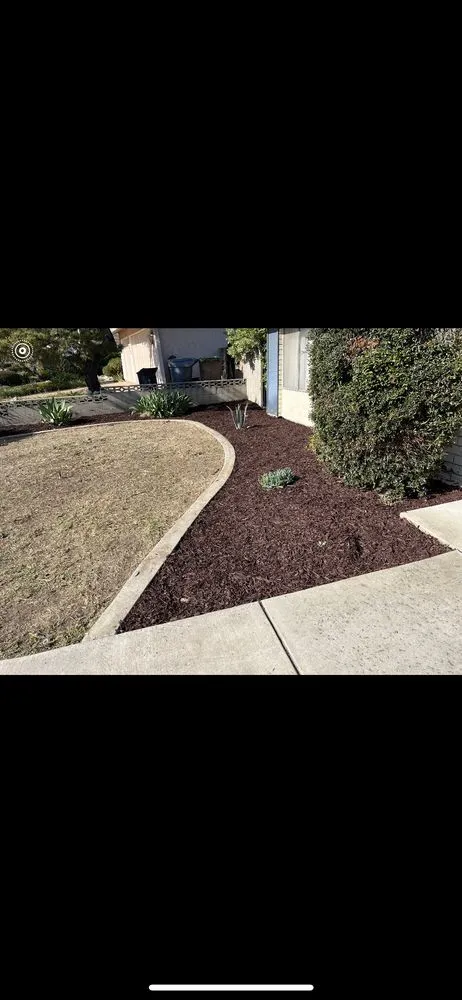 Affordable landscape installation in La Habra, CA by Aries’s Complete Care