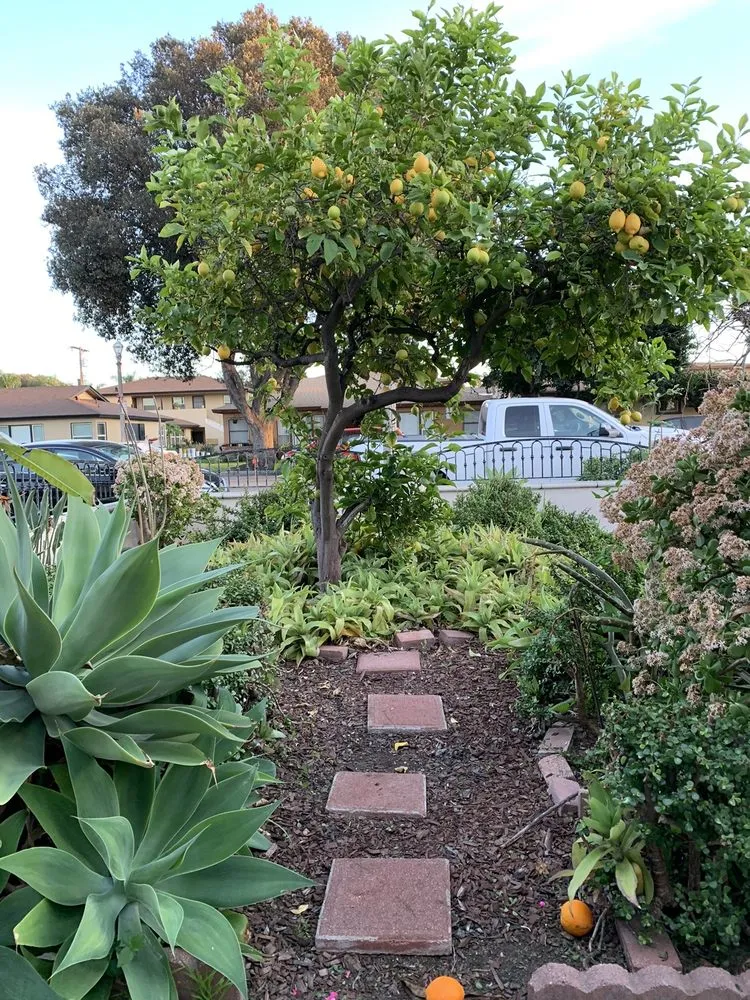 Professional residential landscaping experts serving La Habra, CA - Aries’s Complete Care