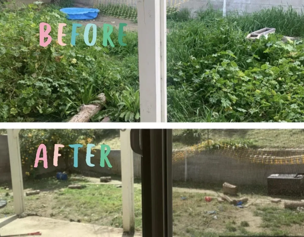 Professional lawn care service for beautiful yards across La Habra, CA - Aries’s Complete Care