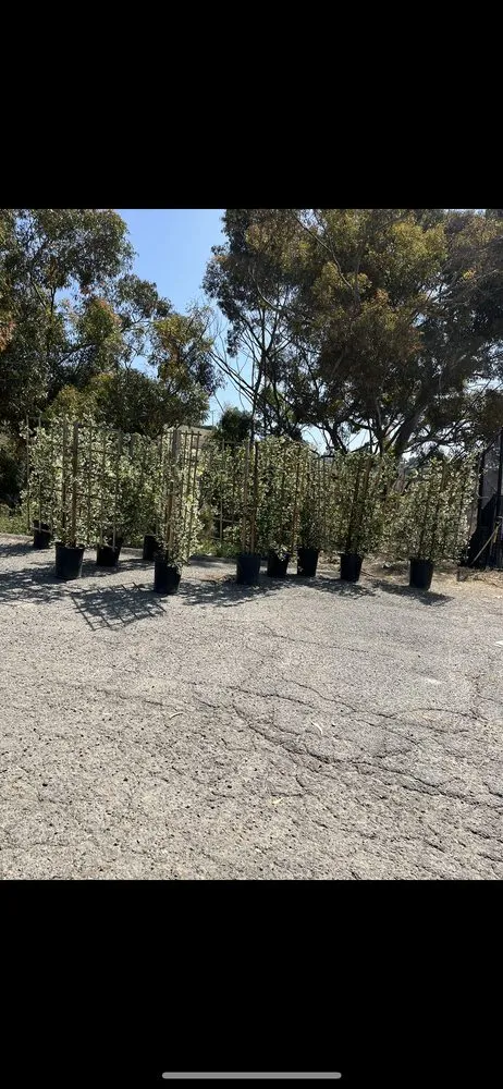 Trusted landscape installation near you across La Habra, CA - Aries’s Complete Care