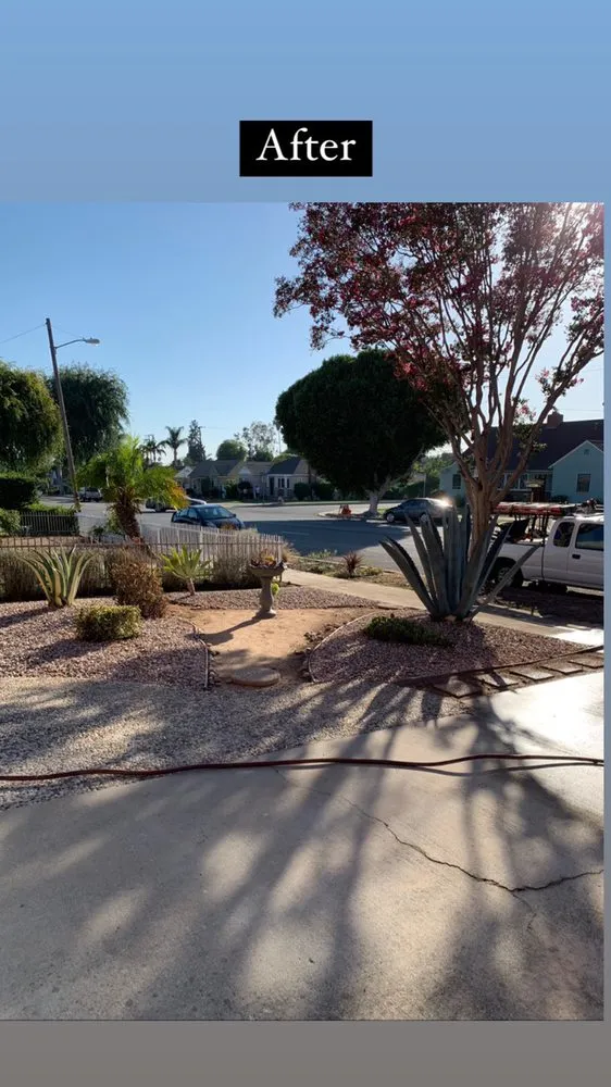 Expert yard maintenance experts serving La Habra, CA - Aries’s Complete Care