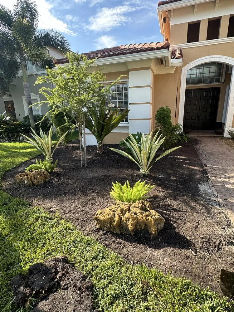 Professional residential landscaping experts serving Palm Springs, FL - Arika Palm