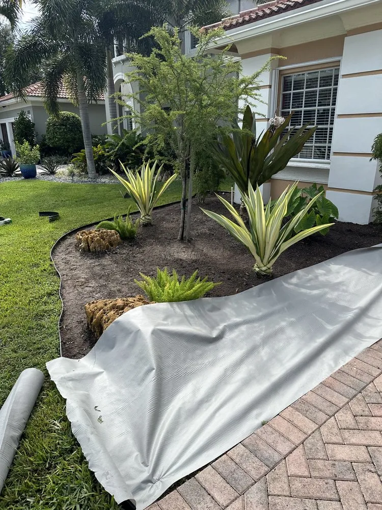 Top-rated lawn mowing service in Palm Springs, FL by Arika Palm