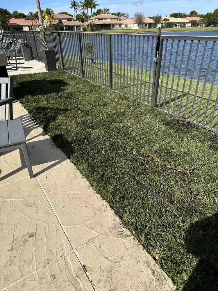 Custom outdoor landscaping in Palm Springs, FL - Arika Palm