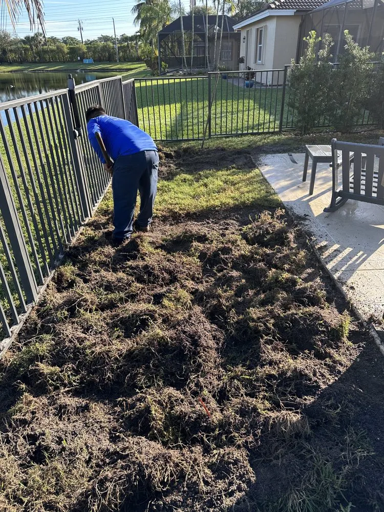 Local landscaping services for year-round maintenance across Palm Springs, FL - Arika Palm