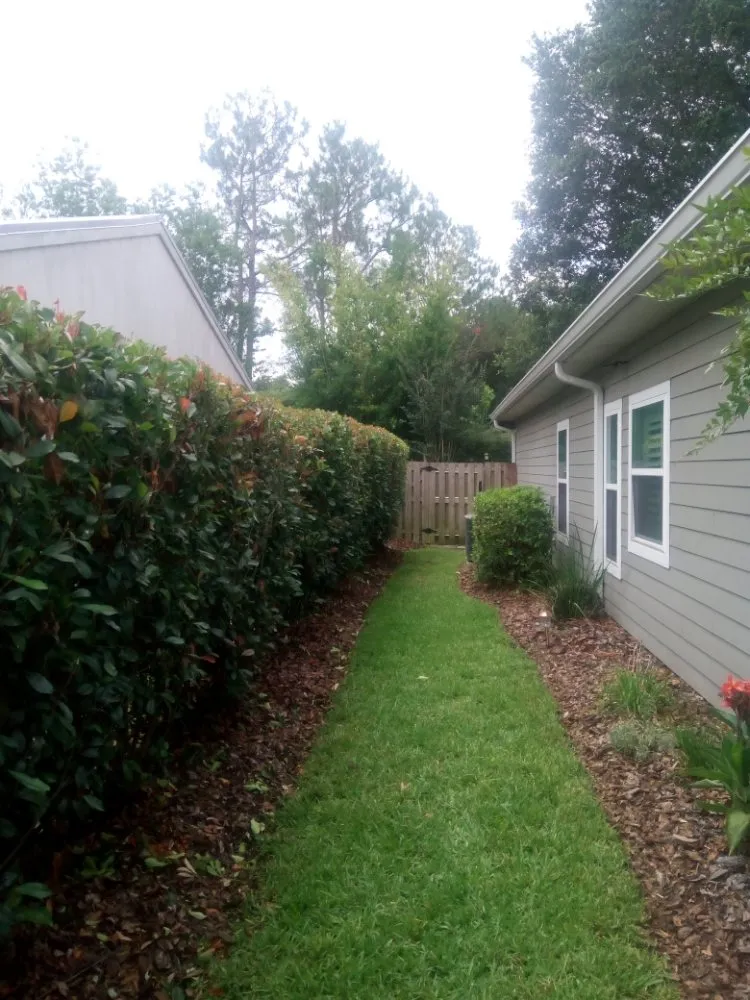 Professional outdoor landscaping in Gainesville, FL - Arinson Landscaping & More
