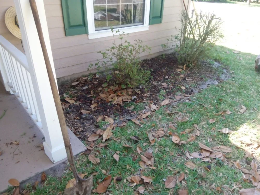 Top-rated landscaping services for year-round maintenance in Gainesville, FL by Arinson Landscaping & More