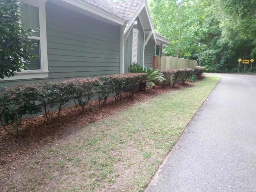 Local landscape installation in Gainesville, FL - Arinson Landscaping & More