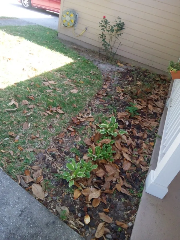 Reliable lawn care service in Gainesville, FL by Arinson Landscaping & More