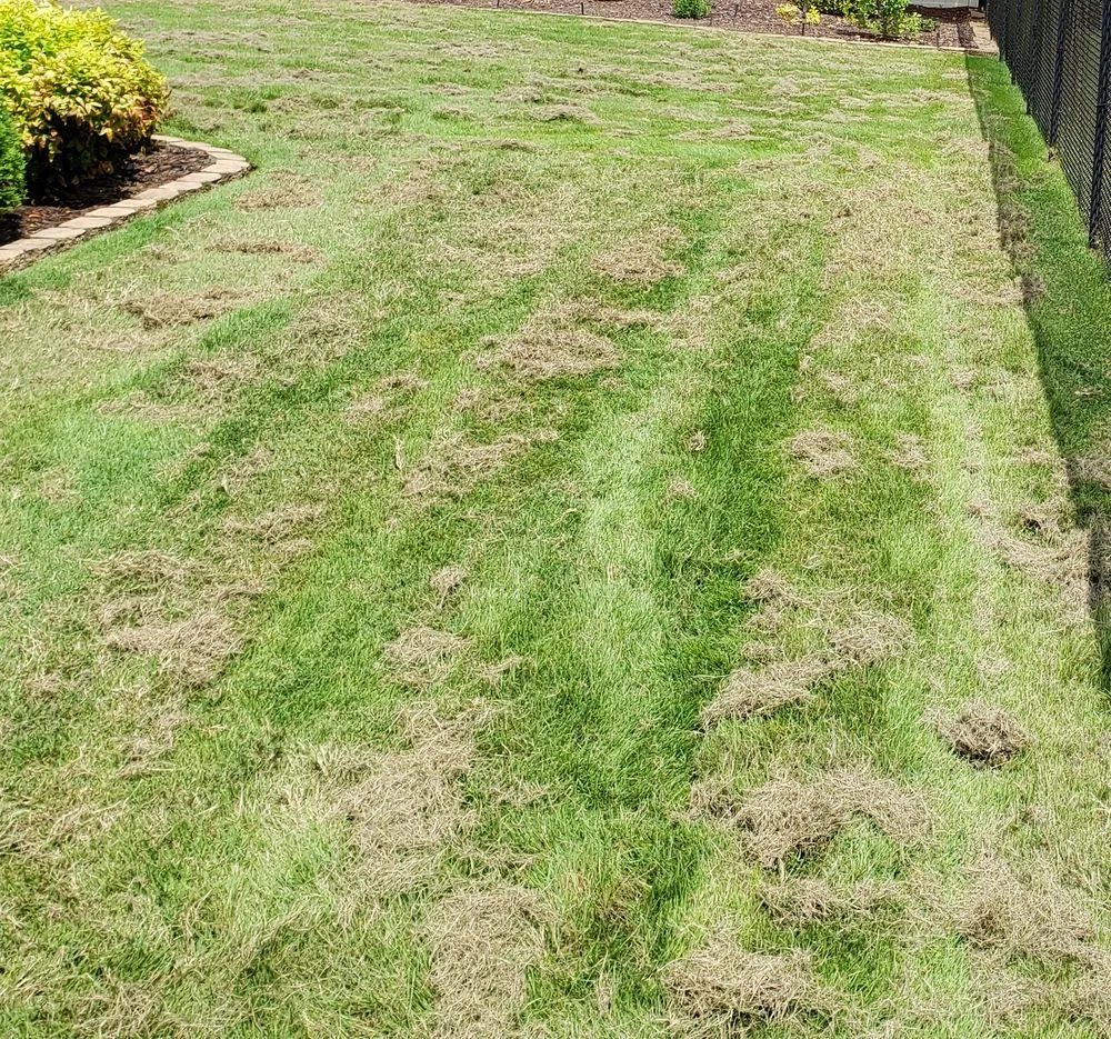 Affordable outdoor landscaping with custom design in Jacksonville, AL by Arise Landscape