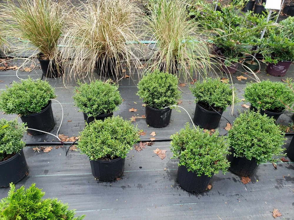 Local outdoor landscaping in Jacksonville, AL - Arise Landscape