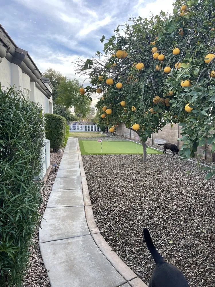 Affordable residential landscaping with custom design in Phoenix, AZ by Arizona Artificial Lawns