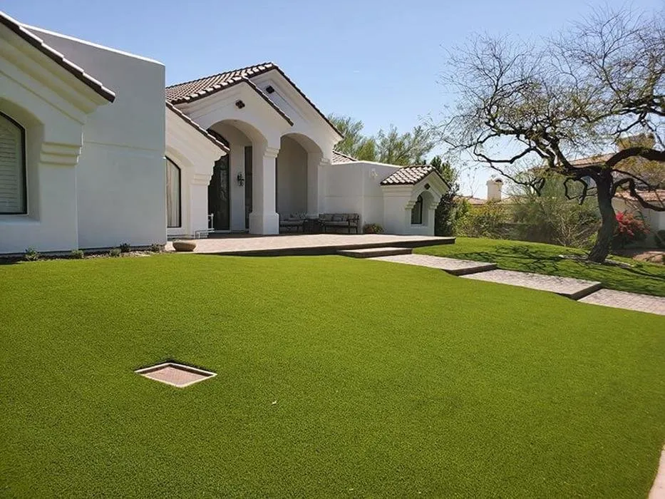 Professional lawn care service for year-round maintenance across Phoenix, AZ - Arizona Artificial Lawns