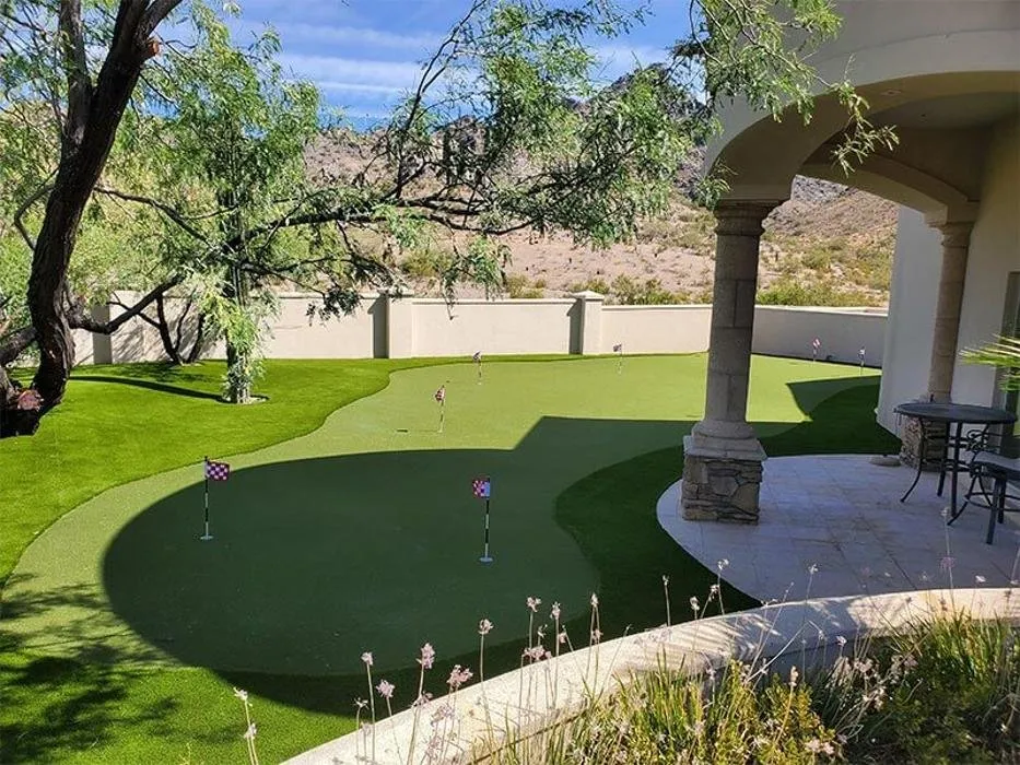 Affordable lawn care service in Phoenix, AZ by Arizona Artificial Lawns