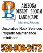 Local outdoor landscaping in Marana, AZ - Arizona Desert Bloom Landscape