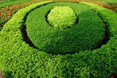 Reliable residential landscaping in Queen Creek, AZ - Arizona Environments