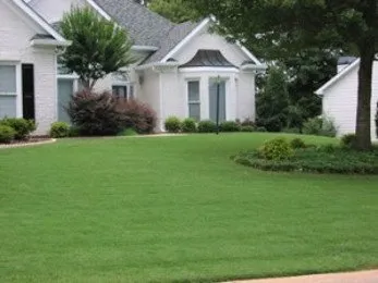 Professional lawn care service for residential properties in Queen Creek, AZ by Arizona Environments